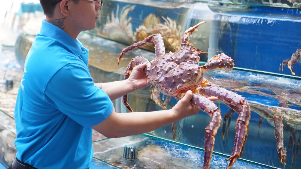 King Crab